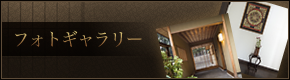 フォトギャラリー